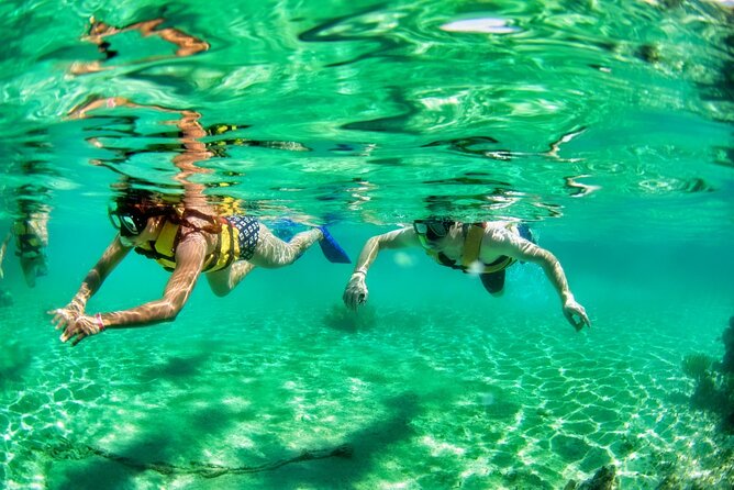 Speedboat Across the Mangroves & Snorkel With Jet Ski Rental - Speedboat Through Mangroves