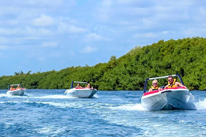 SpeedBoat Jungle Tour + Snorkel Experience in Cancun - Traveler Reviews and Feedback