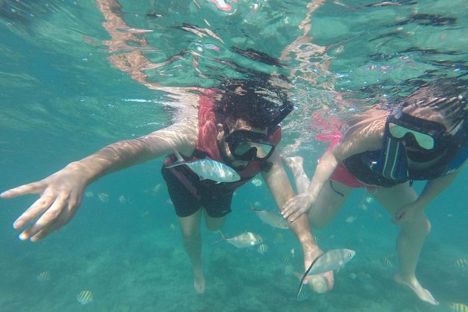 Speedboat & Snorkeling Experience - Inclusive Transportation