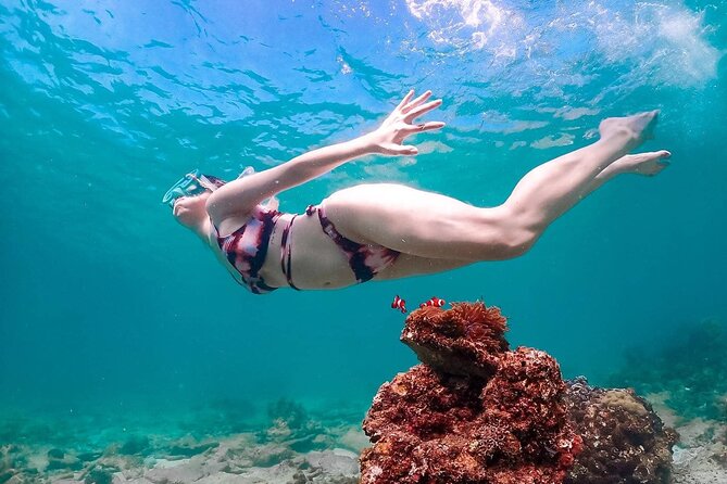 Speedboat Tour From Pattaya to Koh Larn Coral & Sak Island - Pricing and Cancellation Policy