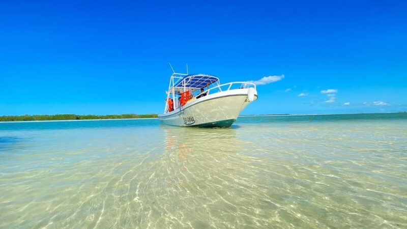 Speedboat Transfer to Holbox Island or Chiquila Port - Key Points
