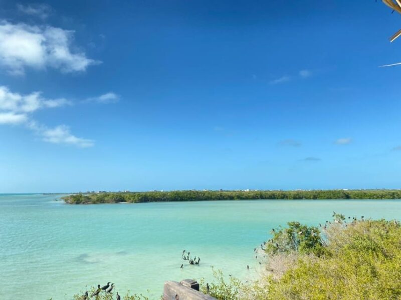 Speedboat Transfer to Holbox Island or Chiquila Port - Preparation and Restrictions