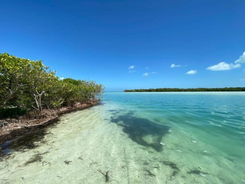 Speedboat Transfer to Holbox Island or Chiquila Port - Meeting Point and Directions