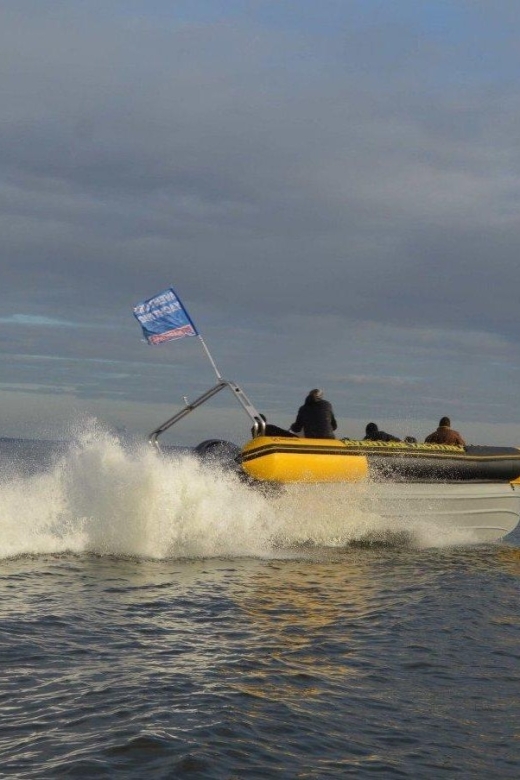 Speedboat Trip Around Sète - Photo Opportunities Along the Way