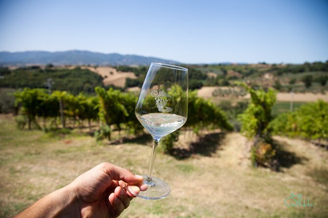 Spello E-Bike Tour With Lunch and Wine Tasting! - Inclusions and Highlights