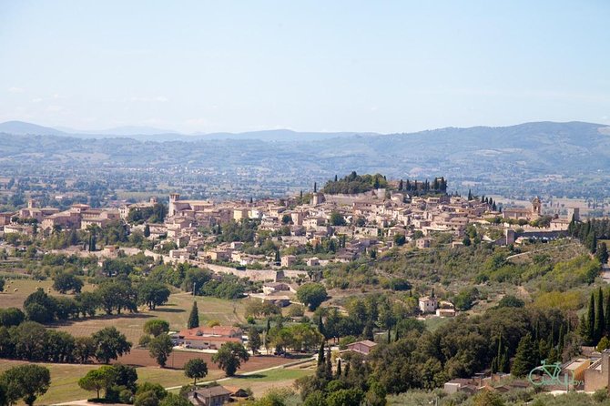 Spello E-Bike Tour With Lunch and Wine Tasting! - Confirmation and Availability