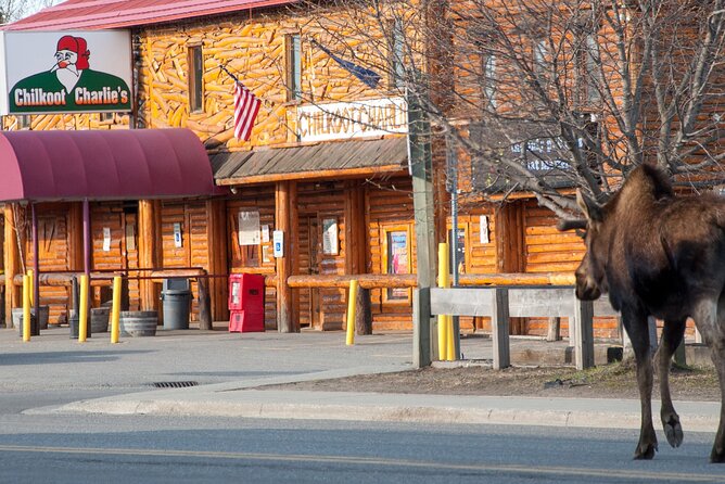 Spenard Neighborhood FOOD & TRUE CRIME Walking Tour - Confirmation and Accessibility