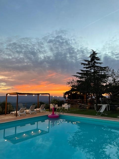 Spend a Day in a Resort in the Tuscan Countryside - Customer Feedback and Reviews