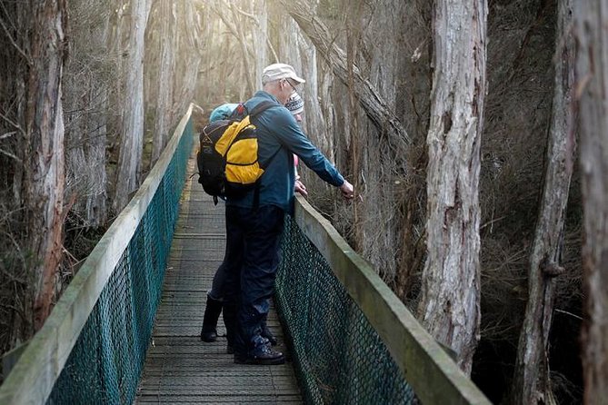 Spend a Day in One of Tasmanias Best Wildlife National Parks - Guided Bushwalking Experience