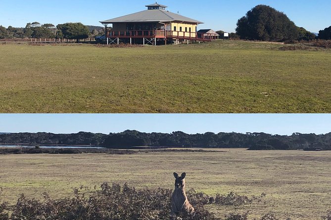 Spend a Day in One of Tasmanias Best Wildlife National Parks - Reviews and Feedback Insights