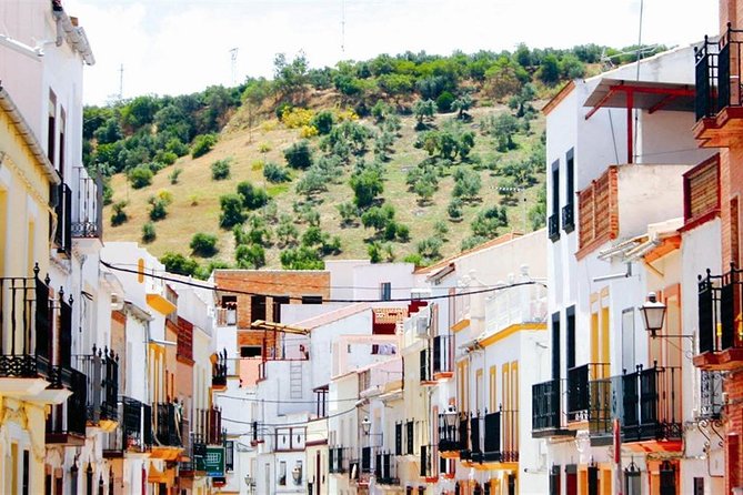 Spend a Day in the White Villages From Cadiz - Tour Experience