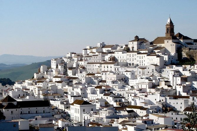 Spend a Day in the White Villages From Cadiz - Accessibility and Additional Information