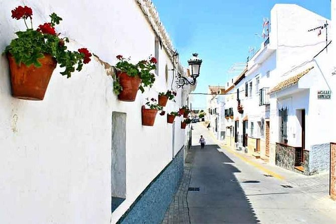 Spend a Day in the White Villages From Cadiz - Scenic Andalusian Countryside