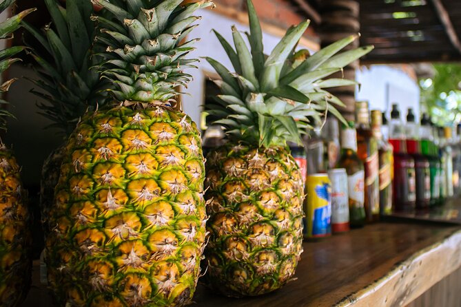 Spend the Day at Encantada Beach - Dining Options