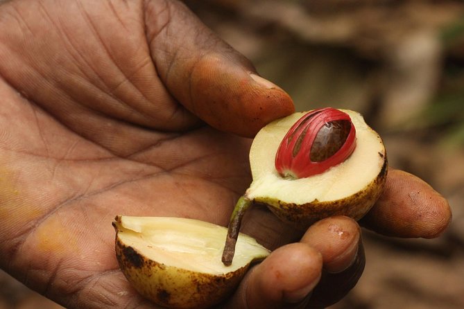 Spice Farm Tour -Half Day - Pickup Information