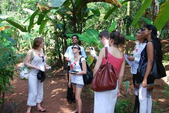 Spice Tour And Home-Cooked Goan Lunch At An Organic Plantation - Inclusions and Exclusions