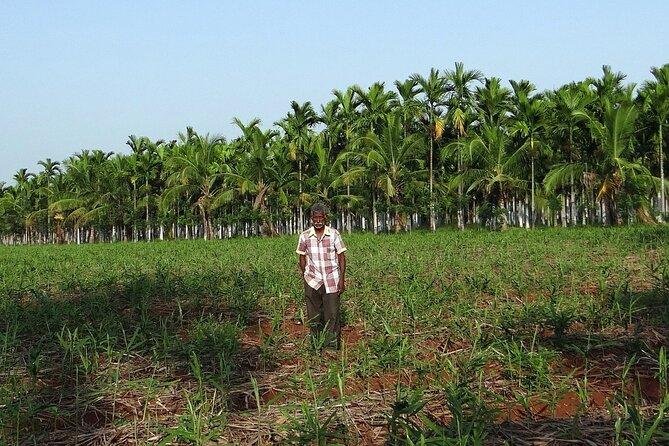 Spice Tour And Home-Cooked Goan Lunch At An Organic Plantation - Cuisine and Dining