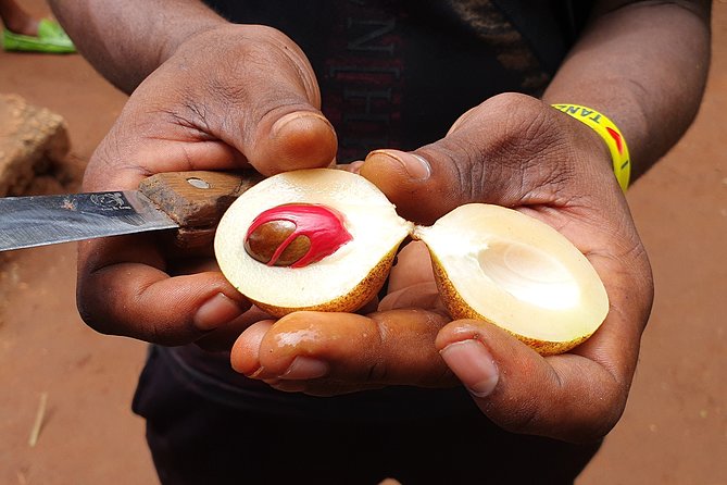 Spice Tour & Cooking Class in Zanzibar - Savoring the Spice-Infused Cuisine