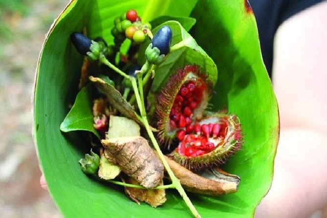 Spice Tour + Stone Town Tour + Prison Island - Delightful Dining Experience at the Farm