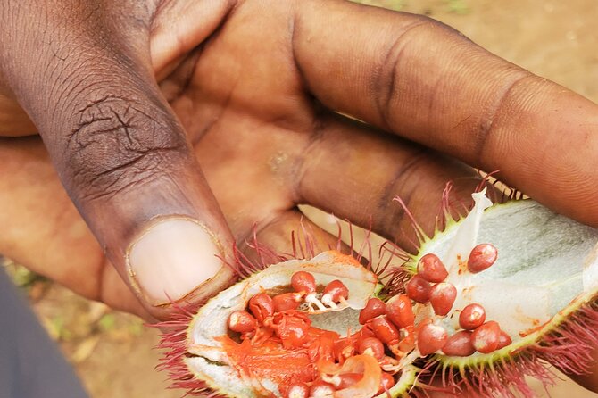 Spice Tour Zanzibar - Spice Farm Experience