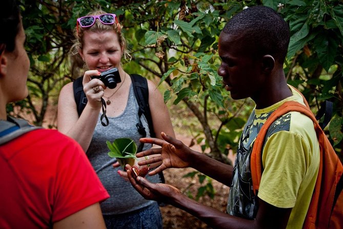Spices and Stone Town Tour in Zanzibar - Inclusions and Information