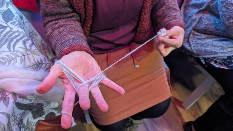 Spin Course With Alpaca Wool - Course Content