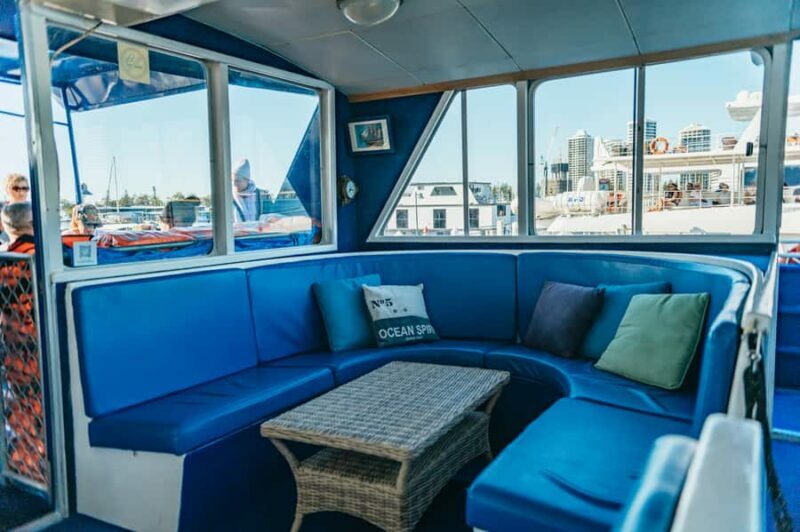 Spirit of Gold Coast 2.5-Hour Whale Watching Tour - Who Will Love This Tour?