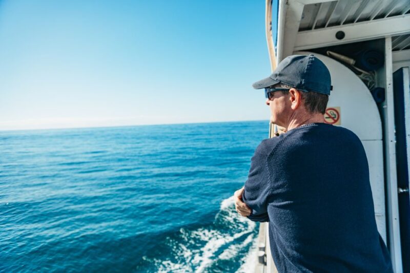 Spirit of Gold Coast 2.5-Hour Whale Watching Tour - Experience Highlights