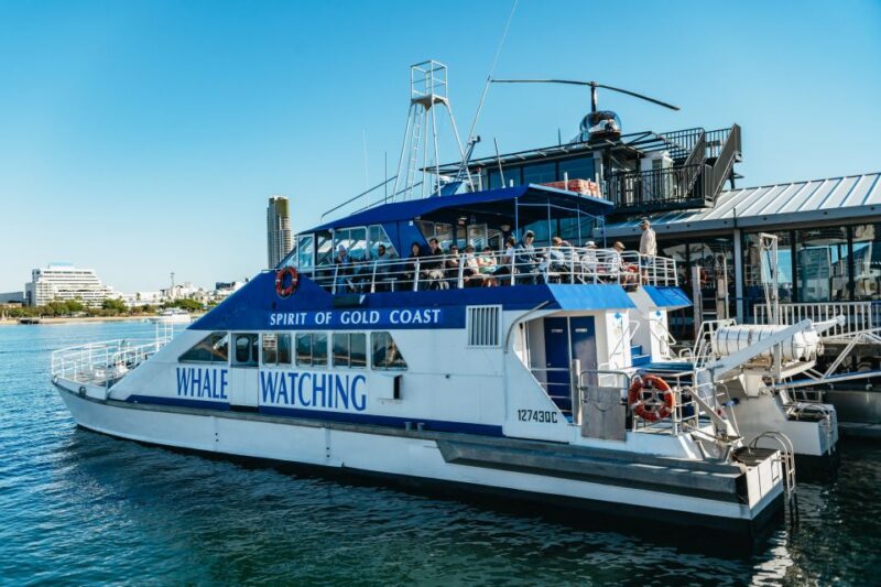 Spirit of Gold Coast 2.5-Hour Whale Watching Tour - Meeting Point and Accessibility