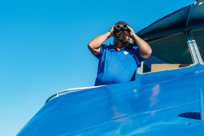 Spirit of Gold Coast 2.5-Hour Whale Watching Tour - Whale Watching Season