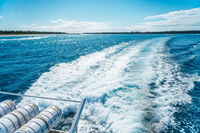 Spirit of Gold Coast 2.5-Hour Whale Watching Tour - Recap