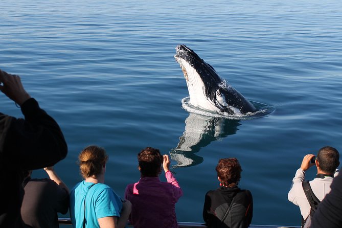 Spirit of Hervey Bay Whale Watching Cruise - Meeting and Pickup Arrangements