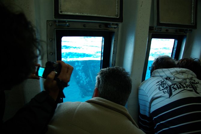 Spirit of Hervey Bay Whale Watching Cruise - Duration and Inclusions of the Tour