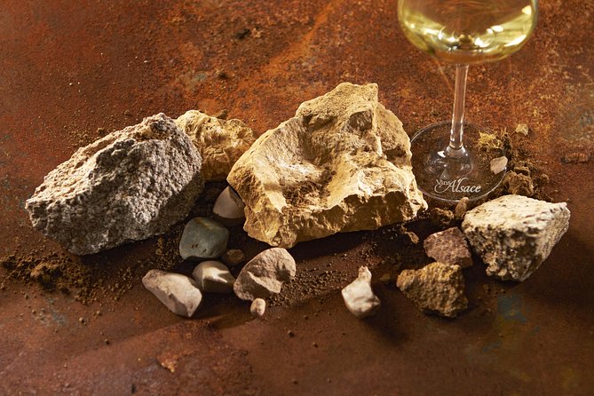 Spirit of TERROIR - Immersive Wine Tasting Experience