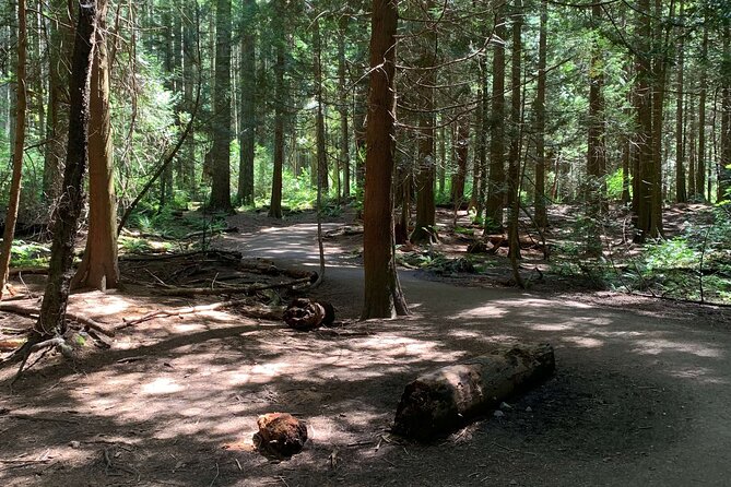 Spirit Of Vancouver Bike or Ebike Tour - Tour Type and Group Size