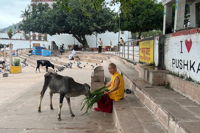 Spiritual City Walking Tour-THE Pushkar Route - Confirmation and Transportation Details