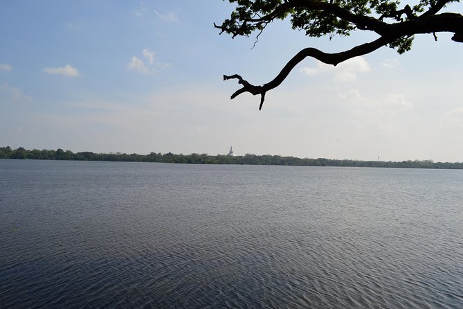 Spiritual Experience From Anuradhapura - Discovering the Bodhi Tree