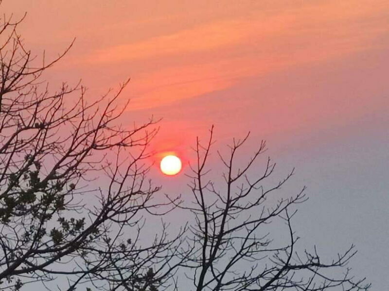 Spiritual Sunrise: Wat Doi Suthep, Pha Lat, Alms &Meditation - The Experience: What to Expect and Why It Matters