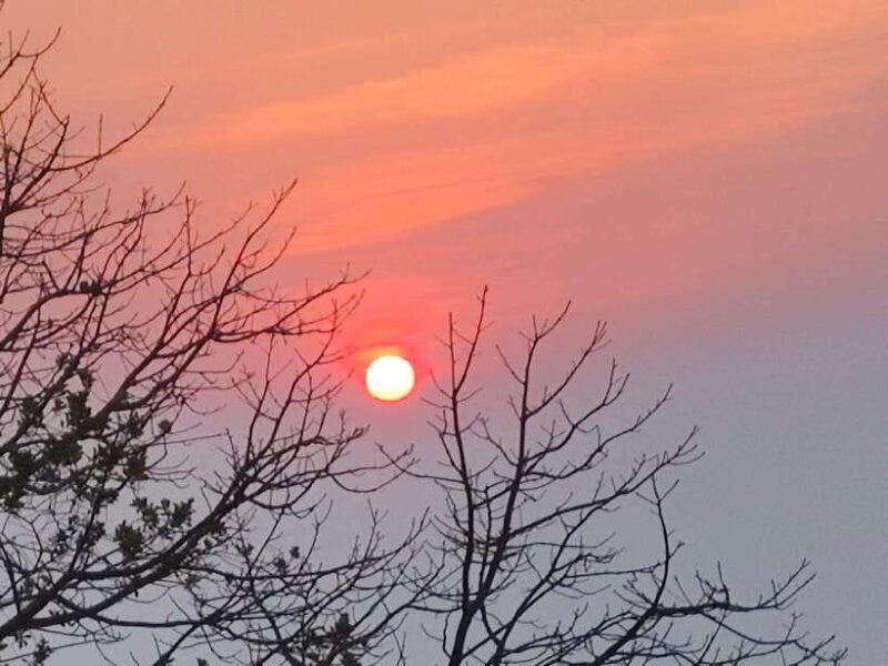 Spiritual Sunrise: Wat Doi Suthep, Pha Lat, Alms &Meditation - Cultural Immersion