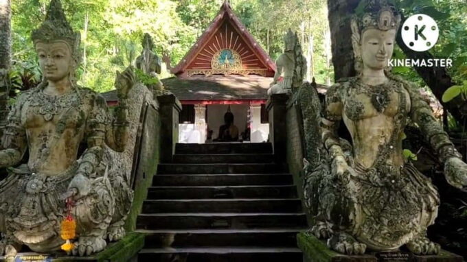 Spiritual Sunrise: Wat Doi Suthep, Pha Lat, Alms &Meditation - Participant Requirements