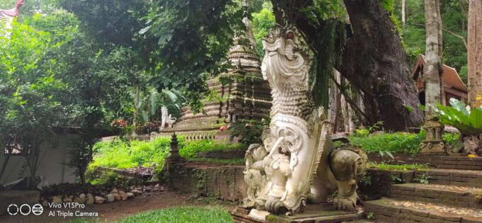 Spiritual Sunrise: Wat Doi Suthep, Pha Lat, Alms &Meditation - Customer Feedback