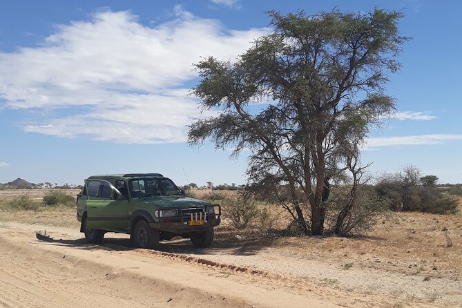 Spitzkoppe Day Tour From Swakopmund - Customer Experiences