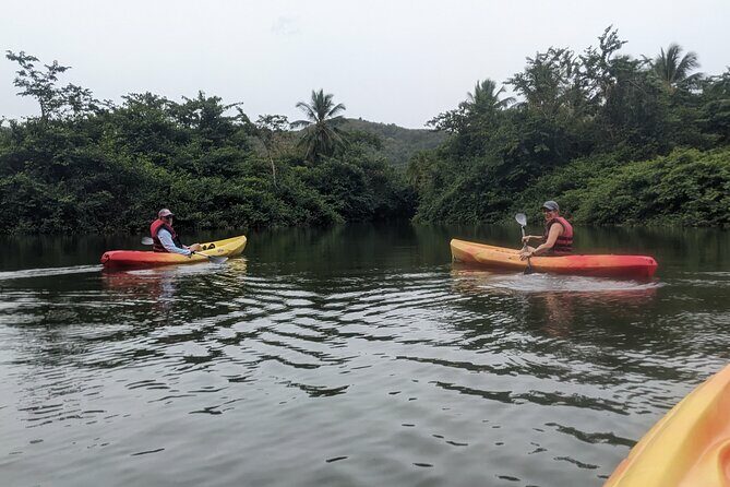 Splash Adventure Jeep and Kayak Safari - Practical Tips for Travelers