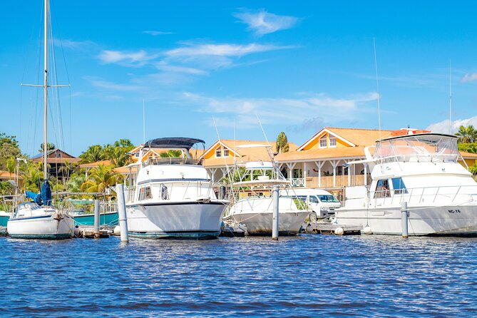 Splashy Iguana Tour in Curacao - Tour Highlights
