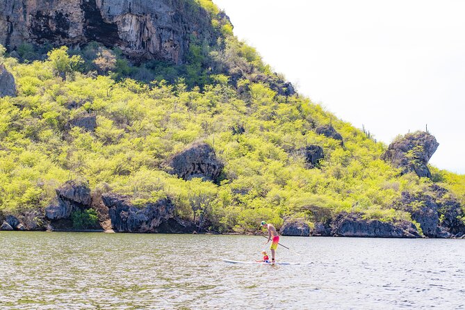 Splashy Iguana Tour in Curacao - Accessibility and Logistics