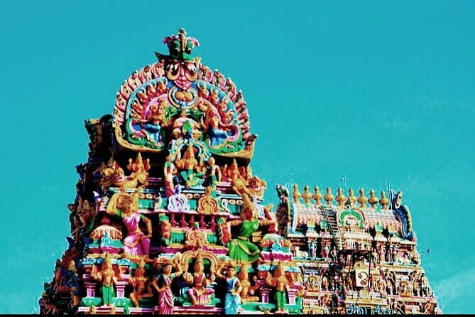 Splendid Chennai: Private Half Day Tour of Chennai - The Bustling Pattinapakkam Fish Market