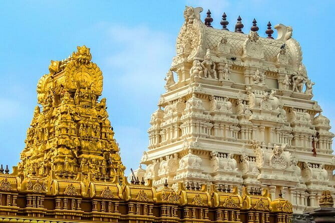 Splendid Chennai: Private Half Day Tour of Chennai - Concluding at the Government Museum