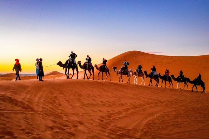 Splendors of Morocco 9 Days - Exploring Casablancas Attractions
