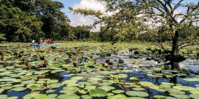 Splendors of Sigiriya: All-Inclusive Private Journey - Cultural Immersion