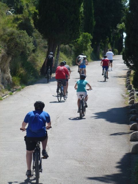 Split 3-Hour Guided Bike Tour - Scenic Experiences